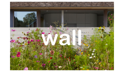 wall