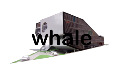whale