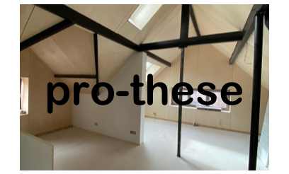 pro-these
