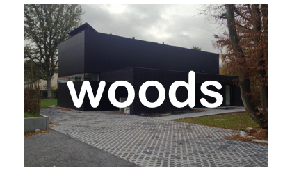 woods