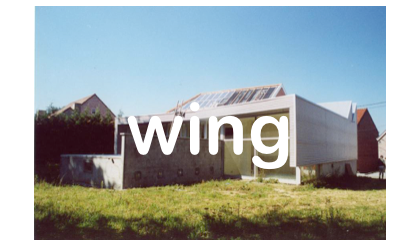 wing